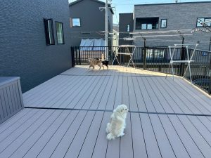 愛犬と暮らす家にぴったり！自宅ドッグラン付きバルコニーカーポート【ブラックカラー／角地対応】