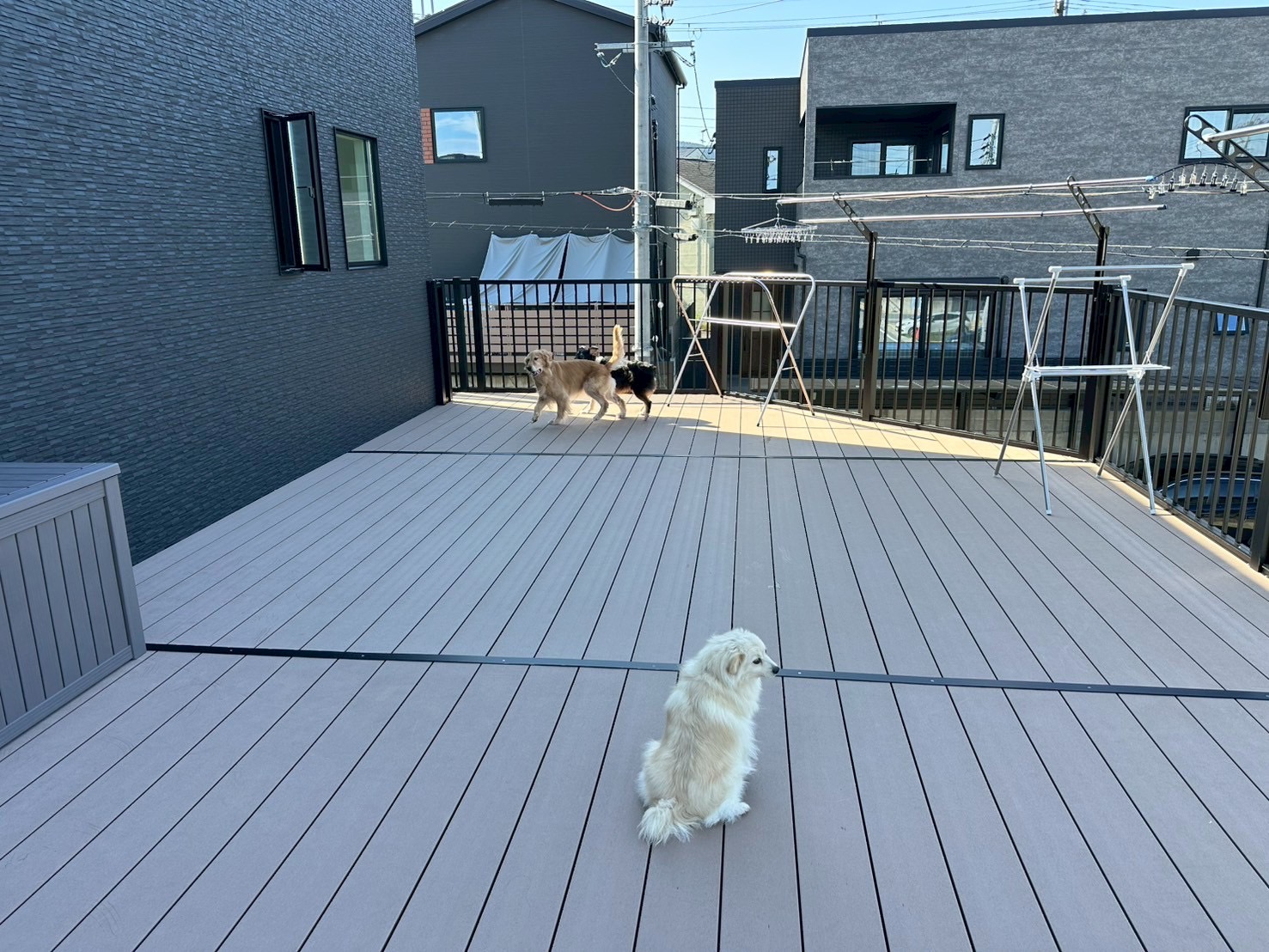 愛犬と暮らす家にぴったり！自宅ドッグラン付きバルコニーカーポート【ブラックカラー／角地対応】